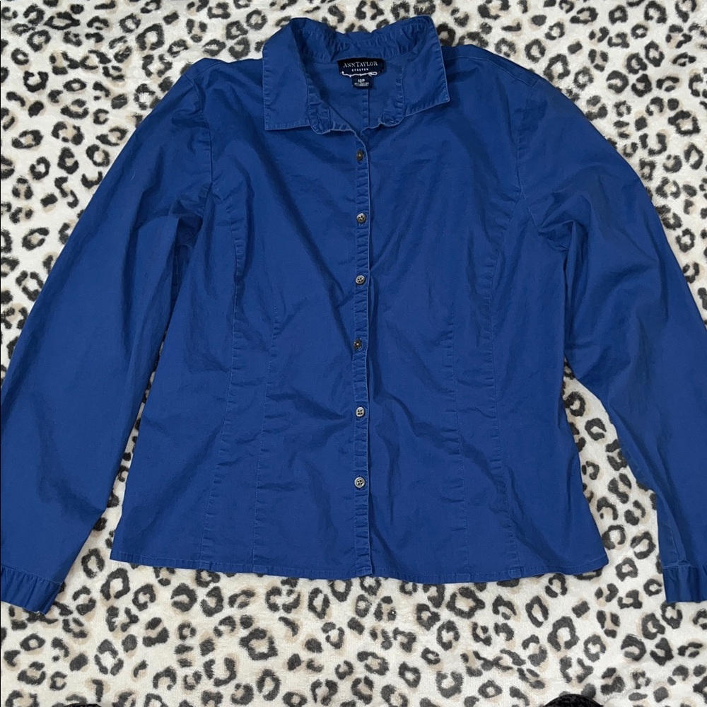 Vintage Ann Taylor Blue Button Down Shirt